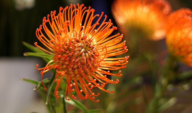 “高服的春天”手機攝影大賽開始了!